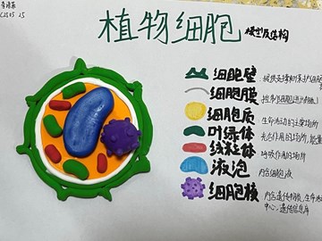 微观世界，“模”力绽放——周梅学子用创意构建细胞科学之美